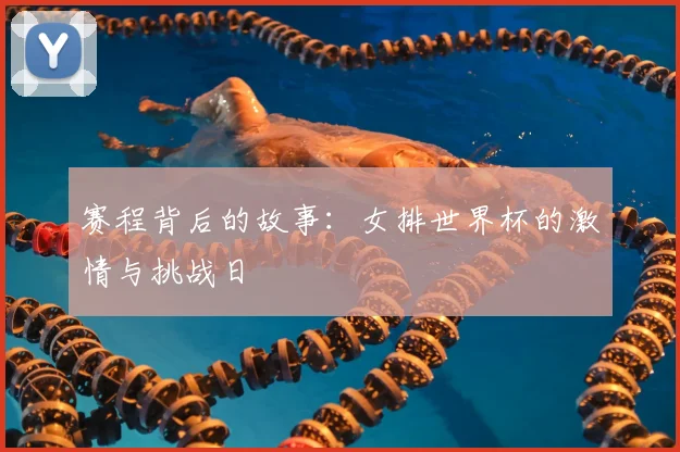 赛程背后的故事：女排世界杯的激情与挑战日